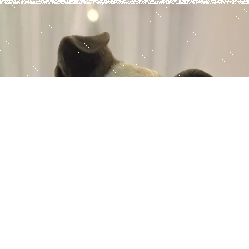First slide
